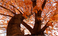 授权码平台正规的DDOS攻击平台